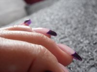 french violette profil.JPG