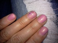 rosa baya 007.jpg rosa baya 007.jpg