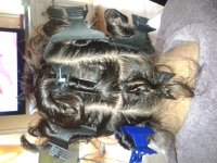 2013-05-29 15.48.55.jpg