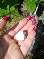 2013-06-06 10.33.38.jpg