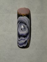 rose niveau 2 le 05.05.2013.JPG