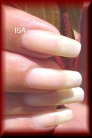 MOD1ONGNAJUIN 2013.jpg