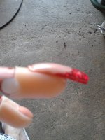 main josephine 006.jpg