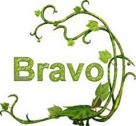 bravo.jpg