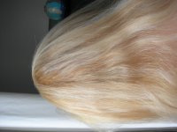 DSCN7525.JPG DSCN7525.JPG