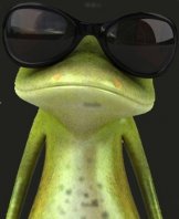 grenouille lunettes.jpg