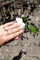 Ongles 009.JPG Ongles 009.JPG