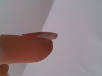 test french profil.jpg