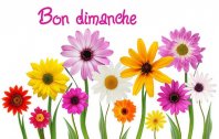 bon dimanche.jpg