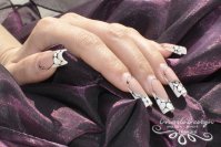 _DSC0184.JPG _DSC0184.JPG