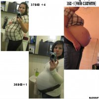 montage grossesse.jpg