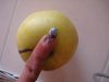 DSC01305.jpg