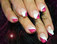 degradérosevioletfrench blanche.jpg