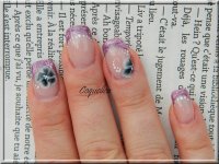 DSCN1550.JPG DSCN1550.JPG