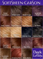 darkandlovely_color_chart_perm.jpg
