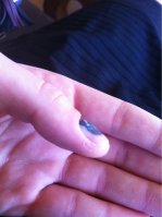 image-2588155551.jpg image-2588155551.jpg