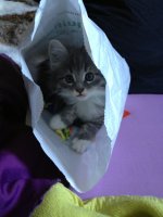 image-3586538883.jpg image-3586538883.jpg