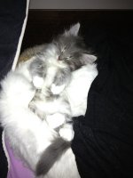 image-3114490861.jpg image-3114490861.jpg