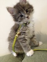 image-2204587740.jpg image-2204587740.jpg