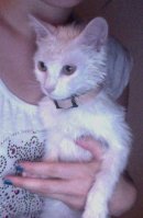 Photo du 18-08-13 à 21.49 #2.jpg