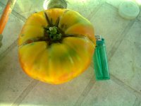 SAMEDI 3 AOUT 2013 001.jpg