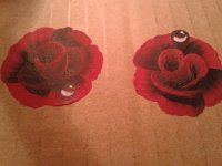 2013-08-21 23.20.44.jpg