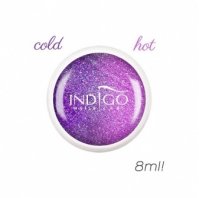 Caméléon gel 11.jpg