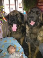 IMG_5782 (Copier).JPG