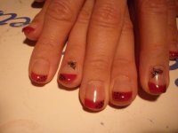 P1020099 (1024x768).jpg