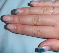 repousse 4 semaines.JPG