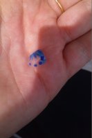 image-3410188581.jpg image-3410188581.jpg