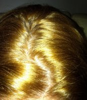 IMG_0645 (556x640).jpg