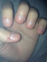 image-2009158336.jpg image-2009158336.jpg