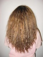 apres clarifiant.JPG