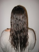 apres 1er shampoing mouille.JPG