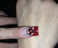 image-3541358286.jpg image-3541358286.jpg