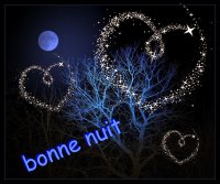 bonne nuit1.jpg