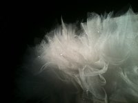 tulle2.JPG