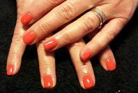 1011420_630373273641349_211856636_n (2).jpg