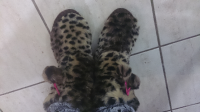 ForumRunner_20131217_174311.png