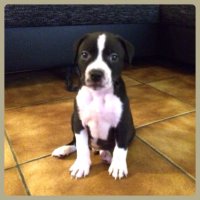 image-2500176866.jpg image-2500176866.jpg