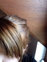 image-1363020413.jpg image-1363020413.jpg