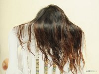 image-2838419652.jpg image-2838419652.jpg