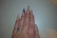 French Blche Dr (5).JPG