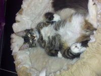 2013-11-13 22.20.57.jpg