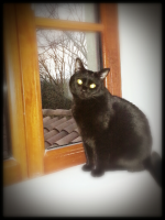 ForumRunner_20140123_115519.png ForumRunner_20140123_115519.png