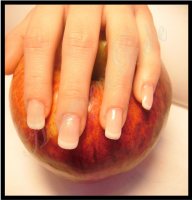 Sans titreuih_ouho.png