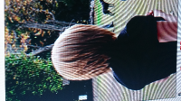 ForumRunner_20140210_192755.png