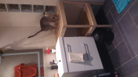 ForumRunner_20140226_222631.png