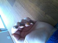 2014-02-27 10.40.31.jpg